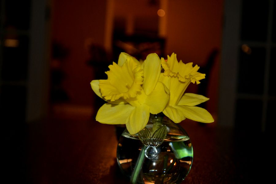Progressive Dinner- Daffodil