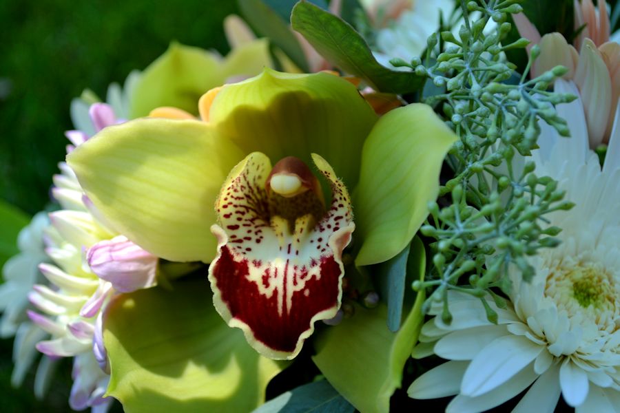 Dandy Wedding Post- Cymbidium Orchid