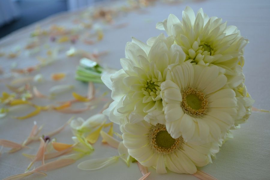 Dandy Wedding Post- Toss Bouquet